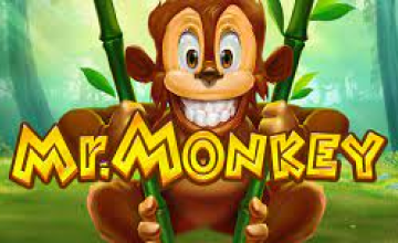 https://wp.casinobonusesnow.com/wp-content/uploads/2016/09/mr-monkey.png
