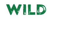 wild-casino-1