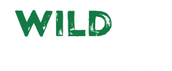 https://wp.casinobonusesnow.com/wp-content/uploads/2019/07/wild-casino-1.png