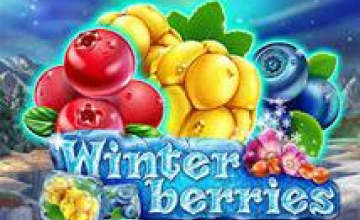 https://wp.casinobonusesnow.com/wp-content/uploads/2020/11/winter-berries.png