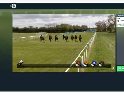 Spinoli Casino virtual sports screenshot